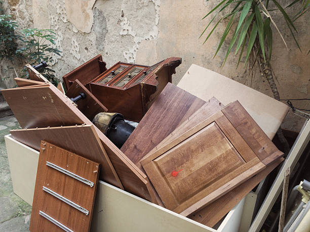 Best Professional Junk Removal  in Pinckneyvle, IL